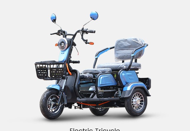 Triciclo de carga